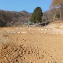 김재근농장 이미지