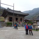 유가초등학교 이미지