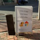 경상식당 | 대구 동인동 카페 경상브륄레 디저트 맛집 소품샵 주차 솔직후기