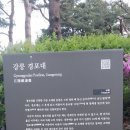 (주)영진연구지원점 | 차박런[ 경포대에서 주문진 해변달리기]