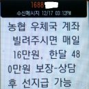 "계좌 빌려주시면 매일 16만 원, 한 달 480만 원 보장" 이미지