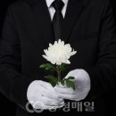 법률사무소온리