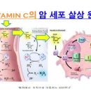 비타민박사 이미지