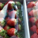 싱싱농장 이미지