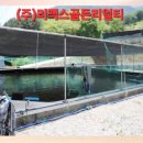 송이횟집 이미지