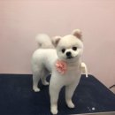 THE반하개 이미지