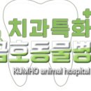 금호동물병원 이미지