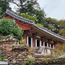 순천-56호 이미지