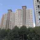 청담-142 이미지