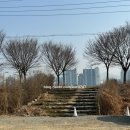하남미사 분위기 좋은 브런치 카페 '에이미테이블' 솔직이용후기
