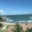 밀양초장집 이미지