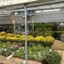 자양꽃직매장 이미지