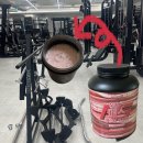 NS81 | NS 매스빌드업 프로틴 스트로베리 크림 4kg, 벌크업 중인 남편이 고른 프로틴