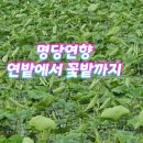 연향농장 이미지