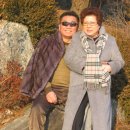 봉림흑염소 이미지