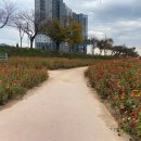 21세기 장성아카데미 | [전라남도 장성군] 장성 황룡강 음악 힐링 축제