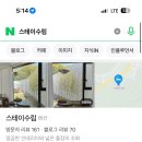 스테이 수림 이미지