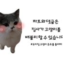 스테이가온 Stay Gaon 네이버블로그