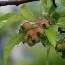 도두리공원 이미지