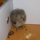 포천대신동물병원 이미지