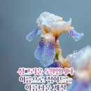 생각난다 그 오솔길~~~길 이미지