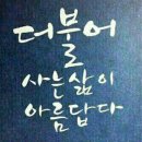 송광 이미지