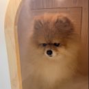 산소방미용실 네이버블로그