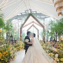 죽바위로 이미지