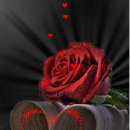 슬비농장 이미지