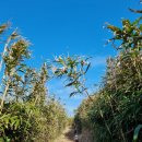 죽변한우백화점 이미지