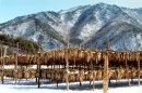 인산죽염인산가부산지사 네이버블로그