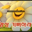 노완우 목사 "건강운동법" (좌골,허리,고관절) 이미지