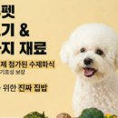 블루펫스토어