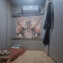 슈가테라피