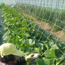 윤희농장 이미지