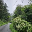 경기둘레길 양평28코스 이미지