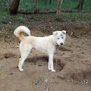 자룡농장 이미지