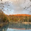 교과서투어 | 삿포로 비에이 투어 추천 5천원 할인쿠폰 인디고트래블, 엔데이트립, 라쿠투어 비교