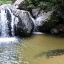 두마산장 | 무더운 날씨에 쭈니와 함께 포항 죽장계곡에 다녀왔어요!
