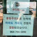 가파도상동민박 | 가파도 여행 후기 (배시간, 청보리, 자전거, 맛집)