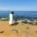 외옹치 해수욕장 이미지