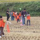 백암온천마을 이미지