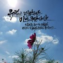 이든캘리그라피