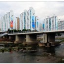 칠성시장(신천둔치) 이미지