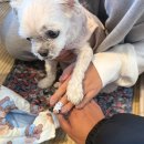 와이케이호텔 | 함께라는 건 웃을 시간이 많다는 것