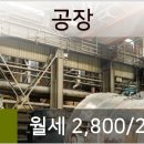 미르비뇨기과의원 이미지