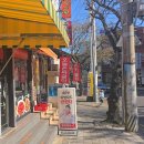 표선리-13 | 제주 표선 가볼만한곳, 엄마와 뚜벅이로 걷기 좋은 표선해수욕장 코스