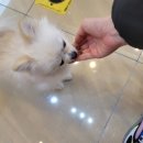 정관장간석점