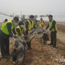 삼숭2통 이미지