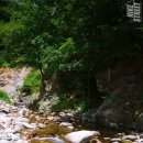 괴재 | [계곡추천] 놀기좋은 계곡, 영동 물한리 물한계곡 후기, 일상 !